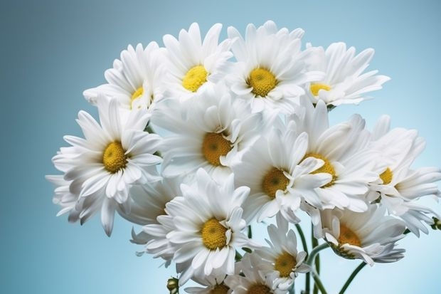 密蒙花的花语和寓意 求各种花和其花语，越多越好。。