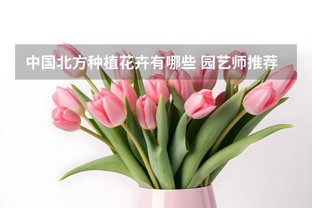 中国北方种植花卉有哪些 园艺师推荐之：适合北方庭院种植的花卉品种