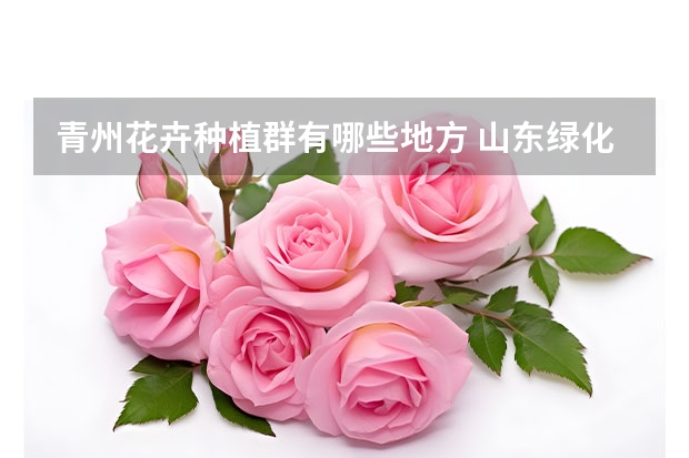 青州花卉种植群有哪些地方 山东绿化苗木/绿化苗木哪里有供应的?青州钰清花卉苗木