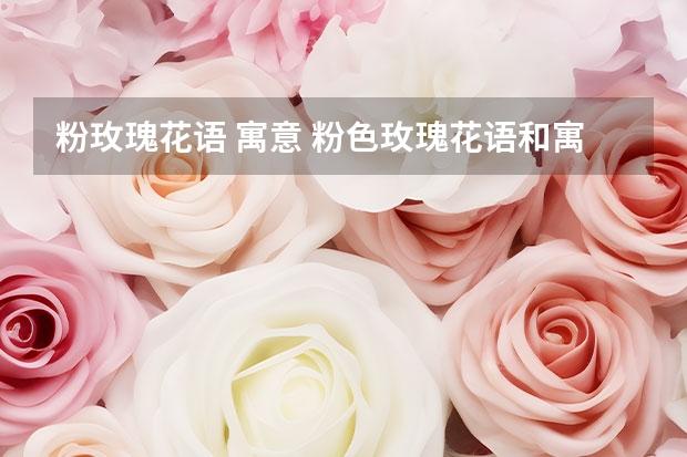 粉玫瑰花语 寓意 粉色玫瑰花语和寓意