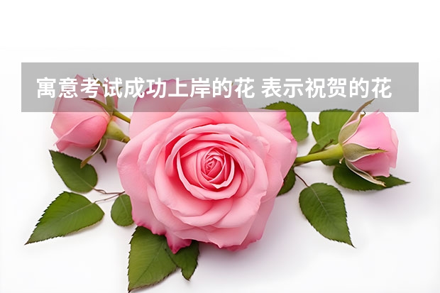 寓意考试成功上岸的花 表示祝贺的花语是表示祝贺的花 祝贺的花语是祝贺之花