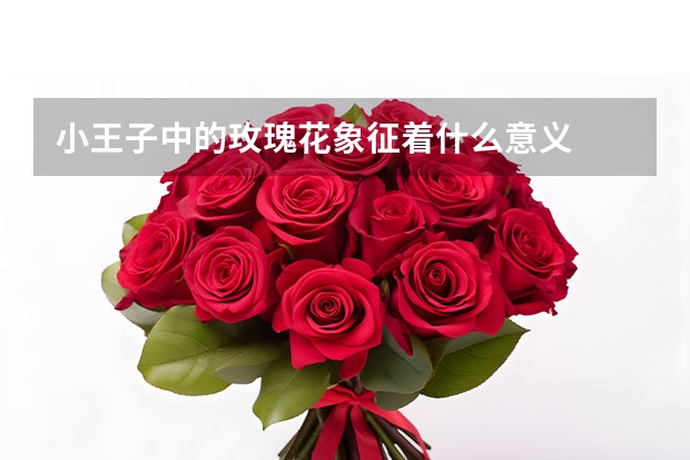 小王子中的玫瑰花象征着什么意义